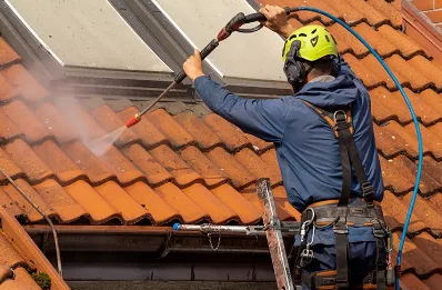 Démoussage et hydrofuge de toiture à Vougy